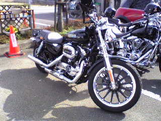 a0099129_2332013.jpg
