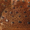 f0197030_13183967.jpg