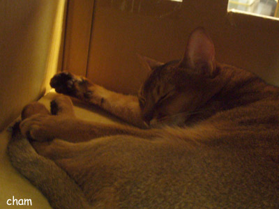 c0132438_22264150.jpg
