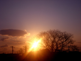 c0153444_7105717.jpg