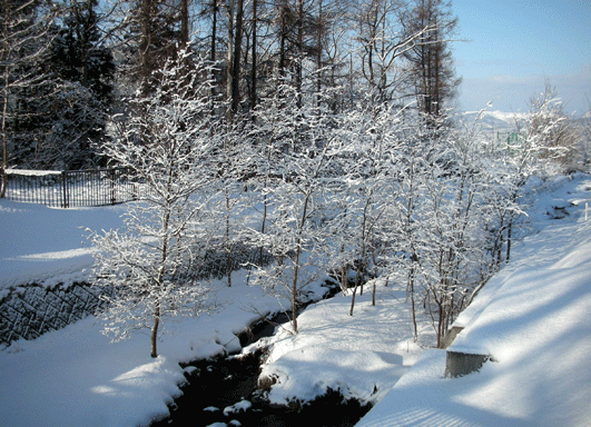 c0147548_22123848.gif