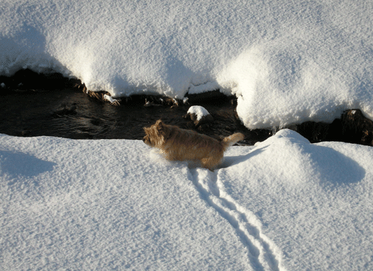 c0147548_2216418.gif