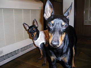 c0123149_1264151.jpg