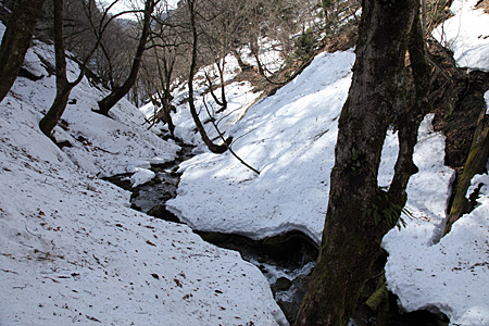 e0113053_22483173.jpg