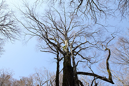 e0113053_224891.jpg