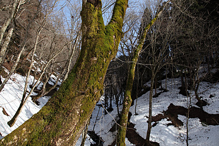 e0113053_22492143.jpg