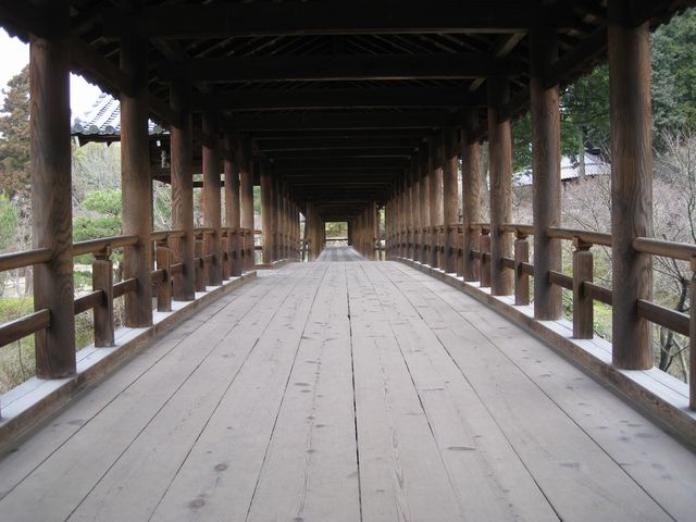 d0037669_949560.jpg