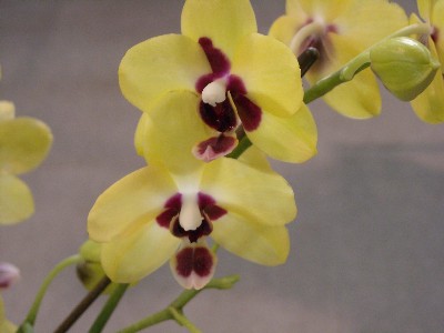 e0097770_21362418.jpg