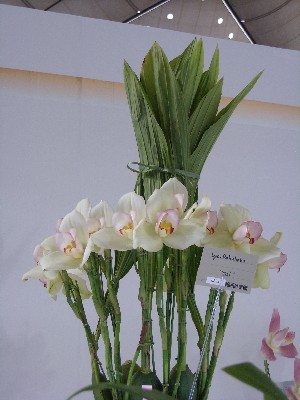 e0097770_2137328.jpg