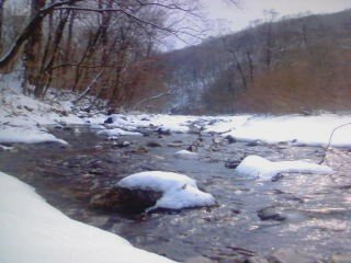 e0151775_1911122.jpg
