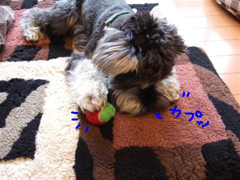 b0143879_22372679.jpg