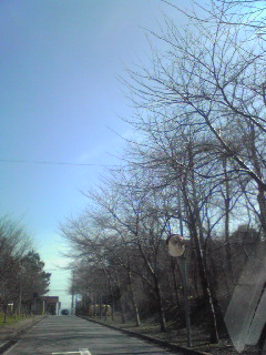 d0119487_1484082.jpg
