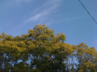 e0125392_16102120.jpg