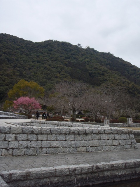 a0036693_13571866.jpg