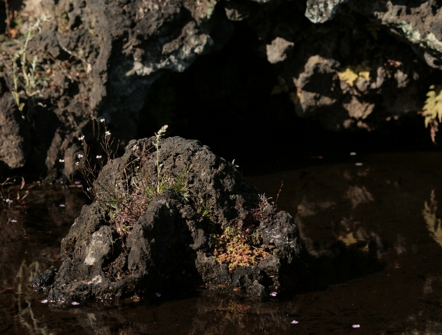d0133693_19172780.jpg