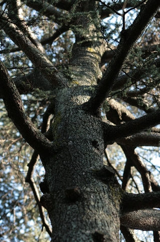 d0133693_19175625.jpg
