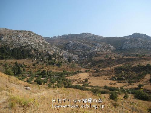 c0010496_8165524.jpg