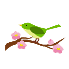 梅とウグイス