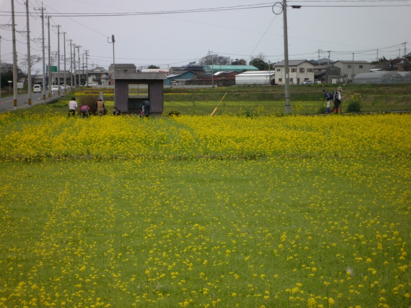 f0036700_13275070.jpg
