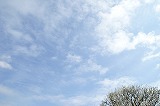 a0117102_2127735.jpg