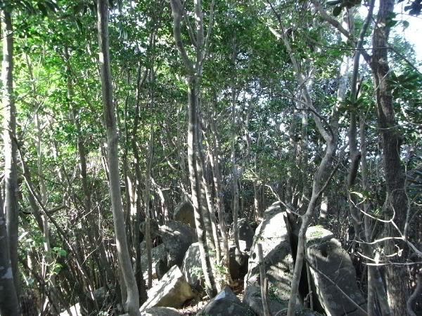 f0187402_22301446.jpg