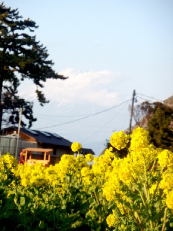 f0043911_056644.jpg