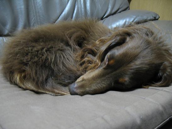 c0123115_2274119.jpg