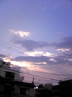 a0053716_16164013.jpg