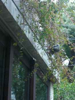 d0072318_1517276.jpg