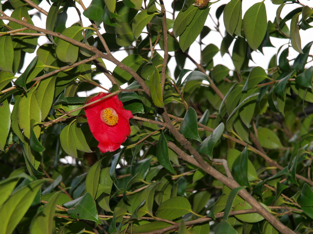 b0137723_23455251.jpg