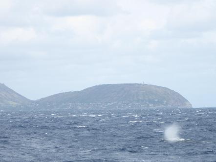 e0129725_182146.jpg
