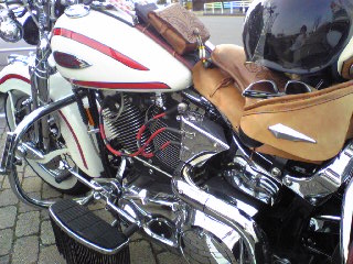 a0099129_031290.jpg