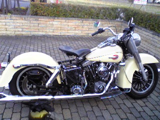 a0099129_045669.jpg