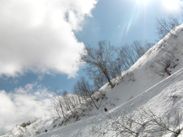 a0119132_1942759.jpg