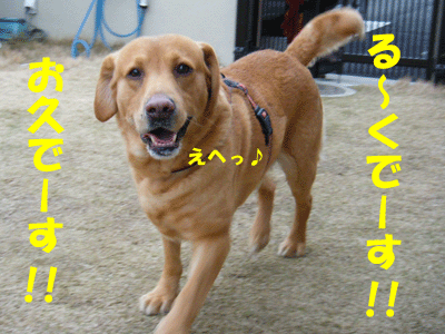 f0008935_3521365.gif