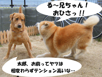 f0008935_3534522.gif