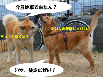 f0008935_354148.gif