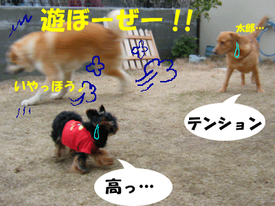 f0008935_355519.gif