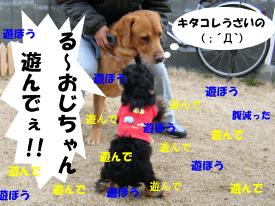 f0008935_355932.gif