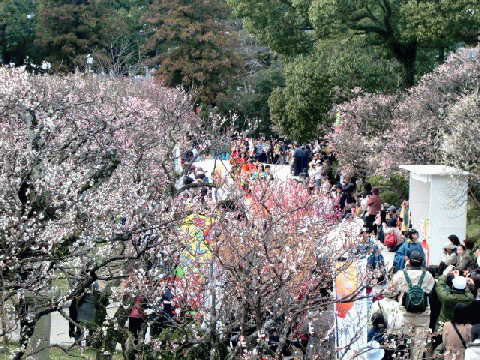 b0012636_17442919.gif