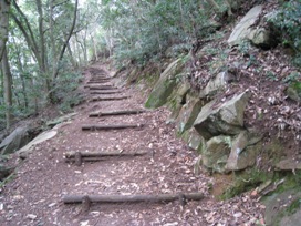 c0077338_8124973.jpg