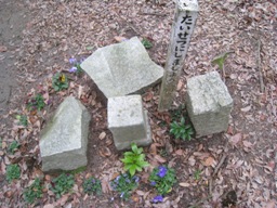 c0077338_813252.jpg
