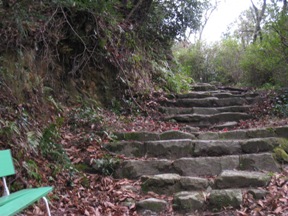 c0077338_845916.jpg