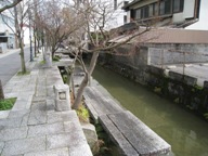c0077338_91336.jpg