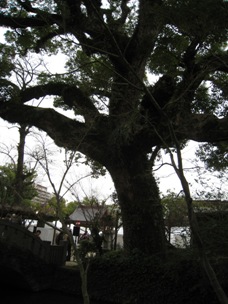 c0077338_915779.jpg