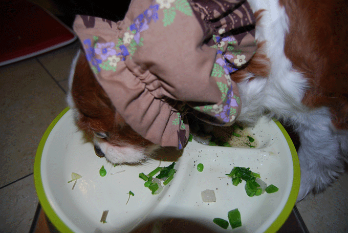 c0136838_2383820.gif
