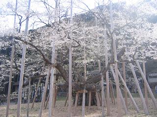 b0024439_11505634.jpg