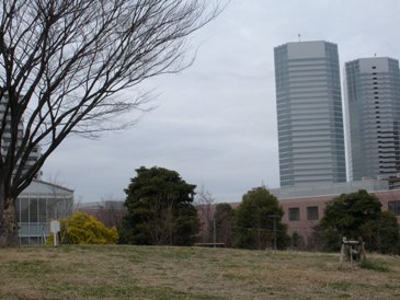 e0149340_11255016.jpg