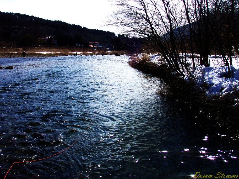 b0072541_2293857.jpg