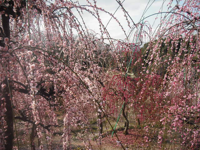 c0194042_20582081.jpg